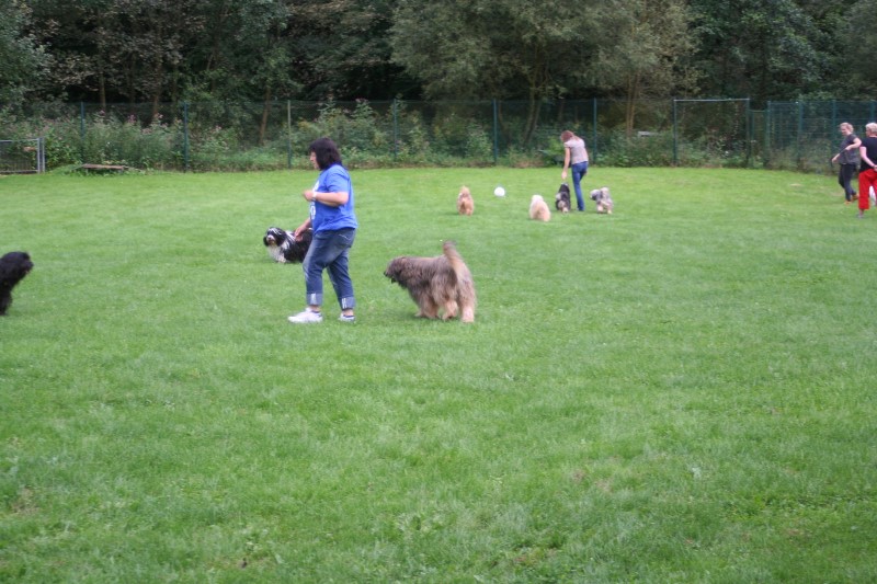 ../Images/Bild 015.jpg